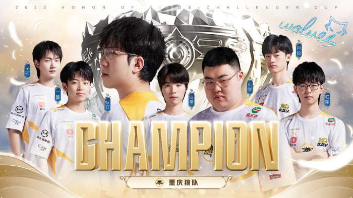 球足球迷的
